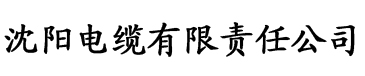 国产精品无码免费专区午夜电缆厂logo